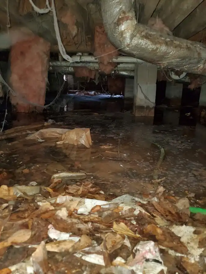 Crawl space flood assessment for Commercial Water Damage Restoration in Belmar