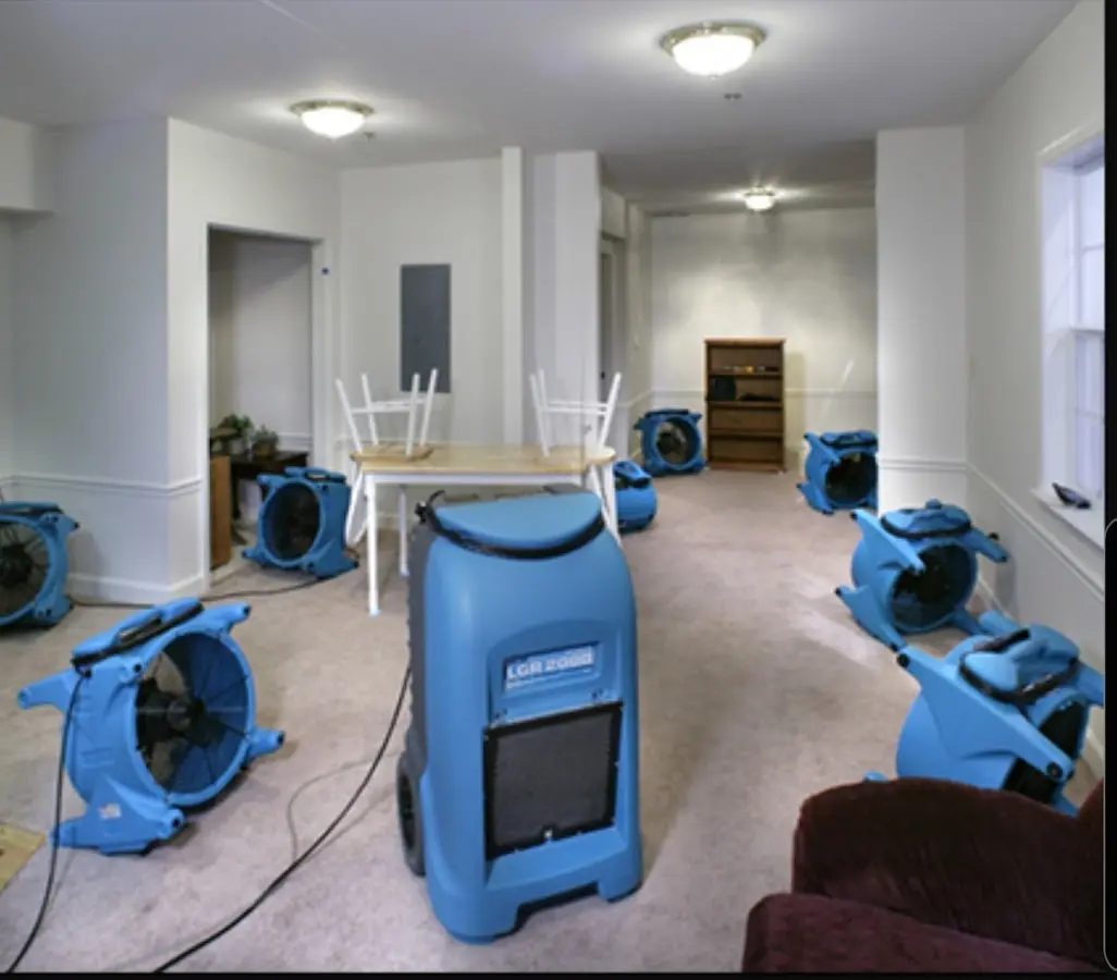Air movers and dehumidifier setup for Water Extraction & Removal in Belmar