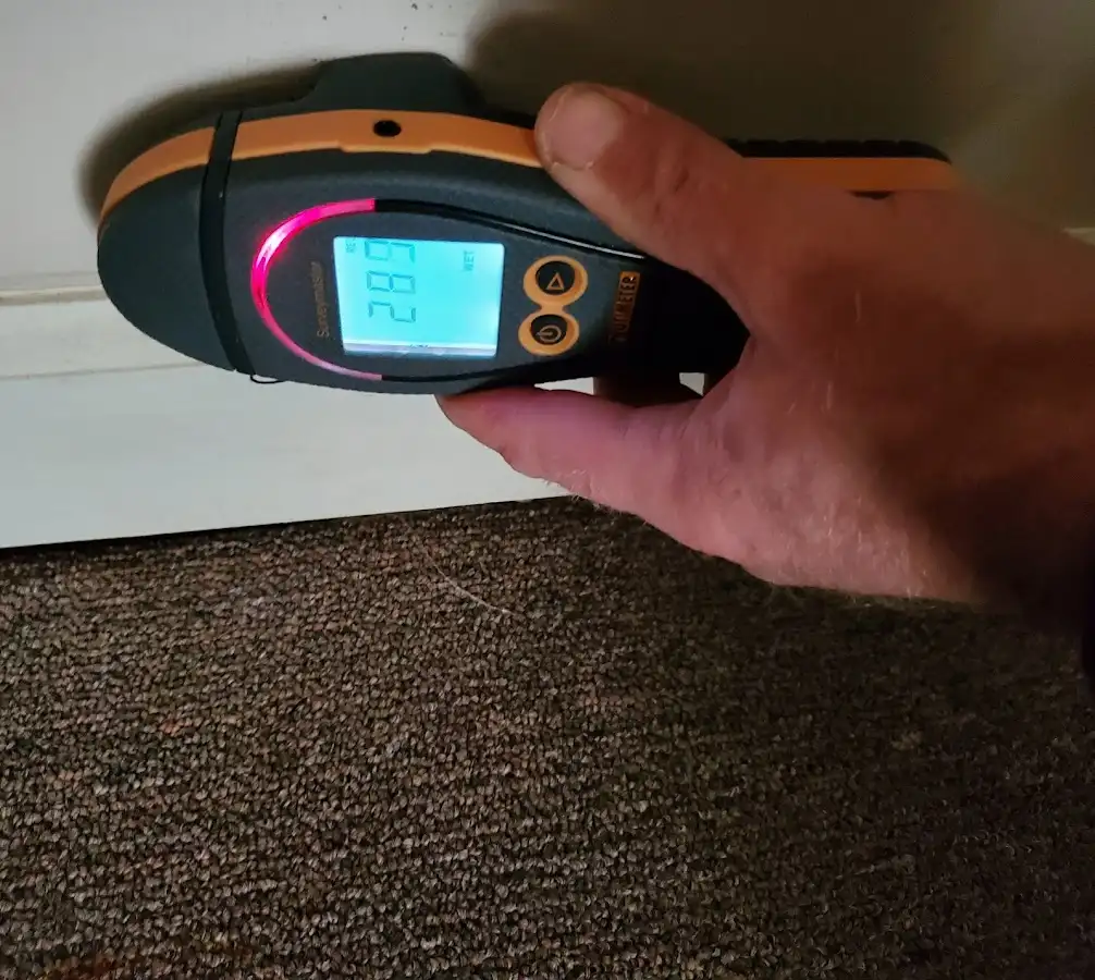 Moisture detection at baseboard during Sewage Cleanup & Sanitation in Belmar